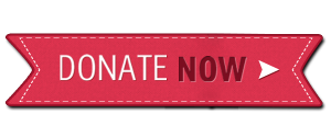 christmas-donate-button-300x125